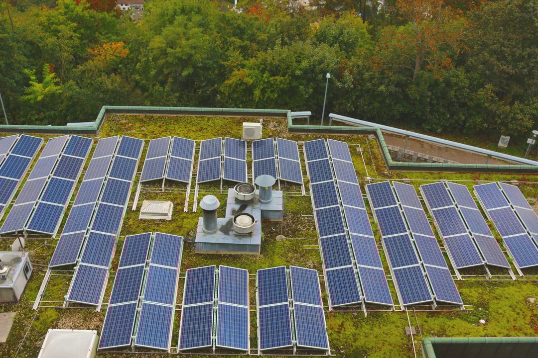 Solceller_grønt tak